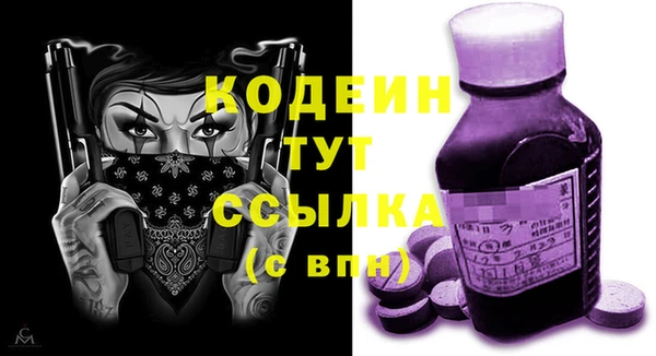 скорость Вяземский