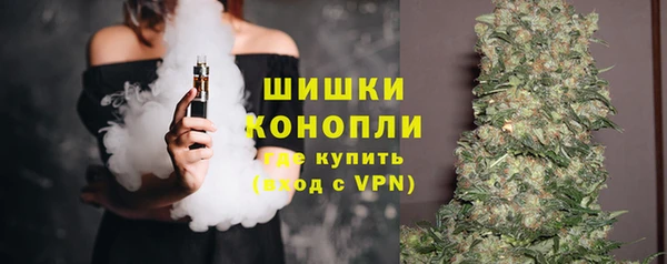 ГАЛЛЮЦИНОГЕННЫЕ ГРИБЫ Вязники