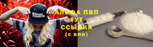 скорость Вяземский