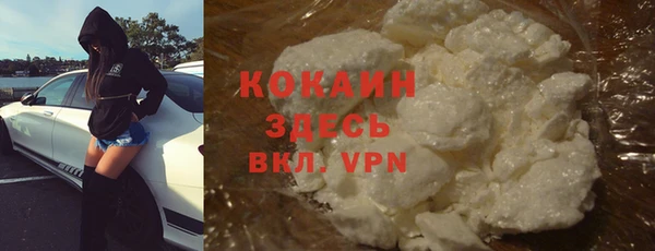 ГАЛЛЮЦИНОГЕННЫЕ ГРИБЫ Вязники