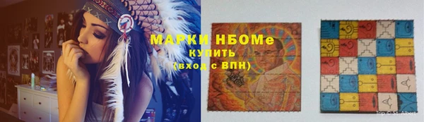 ГАЛЛЮЦИНОГЕННЫЕ ГРИБЫ Вязники