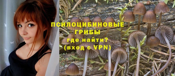 ГАЛЛЮЦИНОГЕННЫЕ ГРИБЫ Вязники