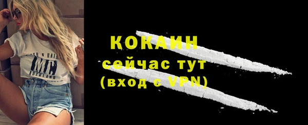 скорость Вяземский