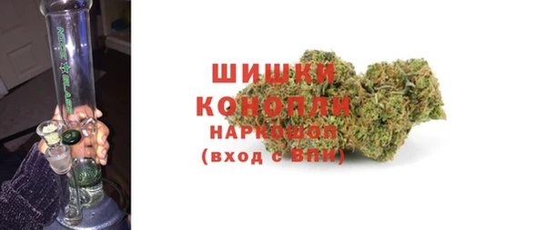 скорость Вяземский