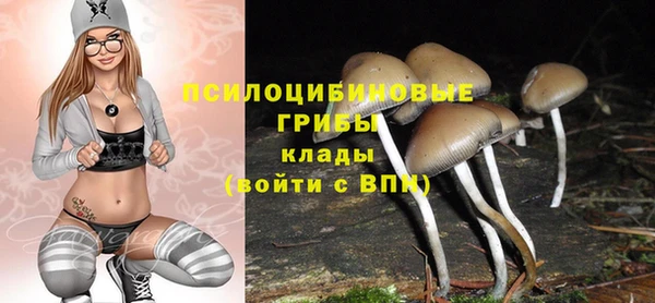 ГАЛЛЮЦИНОГЕННЫЕ ГРИБЫ Вязники
