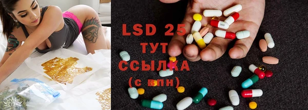 ГАЛЛЮЦИНОГЕННЫЕ ГРИБЫ Вязники