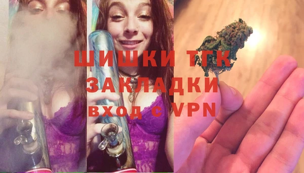 скорость Вяземский
