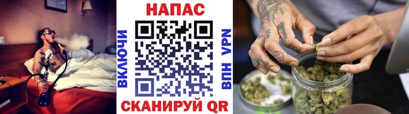 Купить где  Карабаш  Канабис планчик 